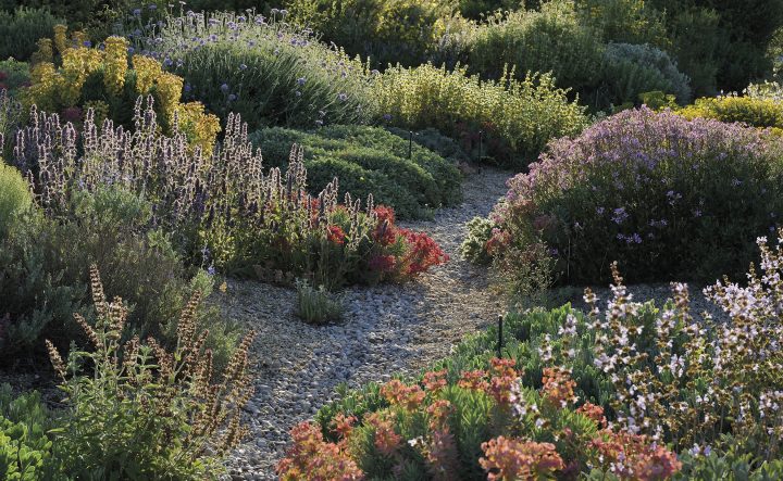Idées Nature : Un Jardin Sans Eau, C'est Possible tout Idée De Génie Jardin