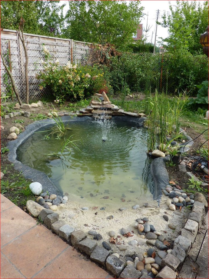 Idées Pour Bassin De Jardin Photos De Jardin Style 527744 … concernant Lithothamne Jardin