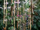 Image Du Jour : Exposition Des Orchidées À La Grande Serre ... pour Exposition Serre De Jardin