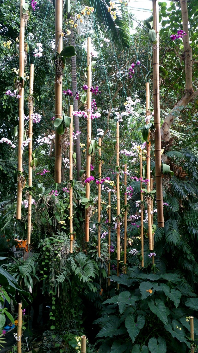 Image Du Jour : Exposition Des Orchidées À La Grande Serre … pour Exposition Serre De Jardin