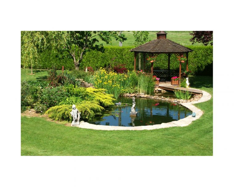 Installer Un Bassin Dans Son Jardin – Journal D'une Motarde intérieur Amenagement De Bassins De Jardin