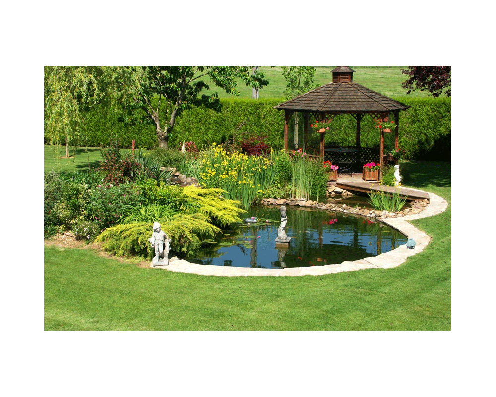 Installer Un Bassin Dans Son Jardin - Journal D'une Motarde pour Aménagement Bassin De Jardin