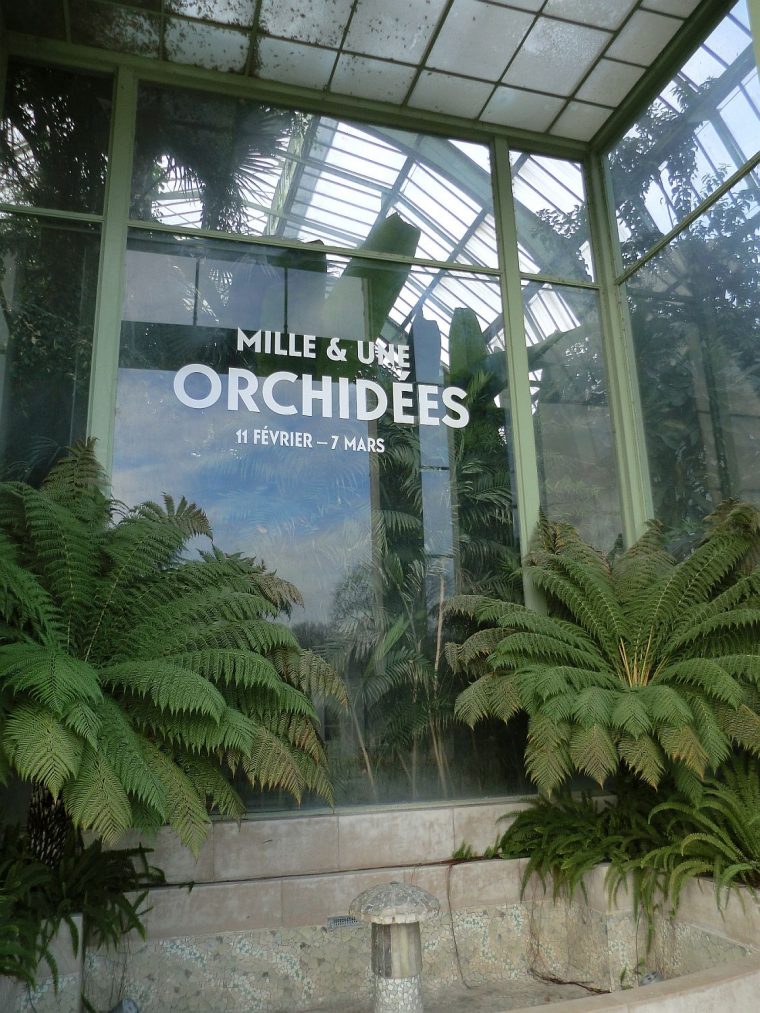 Invasion D'orchidées Dans Les Grandes Serres Du Jardin Des … concernant Exposition Serre De Jardin