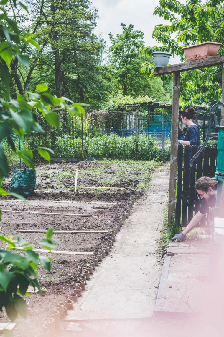 J'ai Testé Pour Toi : Avoir Un Jardin En Plein Centre Ville … à Le Jardin Pour Les Nuls