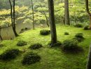 Japanese Garden - Wikipedia concernant Modele De Jardin Japonais