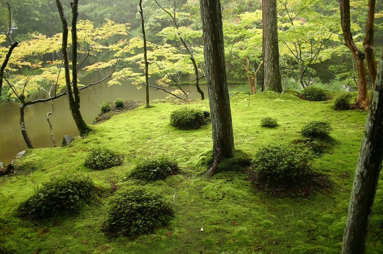 Japanese Garden – Wikipedia concernant Modele De Jardin Japonais