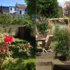 Jardin 100M2 - Bruxelles/ Marguerite Ferry - Urban Garden ... concernant Arceau Jardin