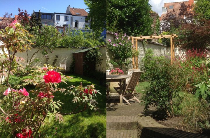 Jardin 100M2 – Bruxelles/ Marguerite Ferry – Urban Garden … concernant Arceau Jardin