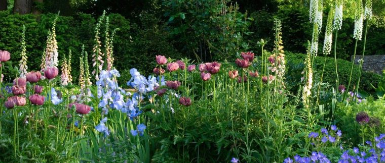 Jardin Anglais : 10 Plantes Emblématiques Pour L'aménager concernant Comment Créer Un Jardin Anglais