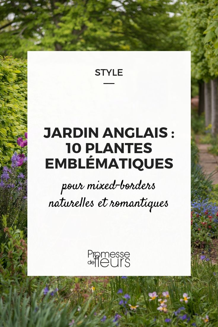 Jardin Anglais : 10 Plantes Emblématiques Pour L'aménager encequiconcerne Comment Créer Un Jardin Anglais