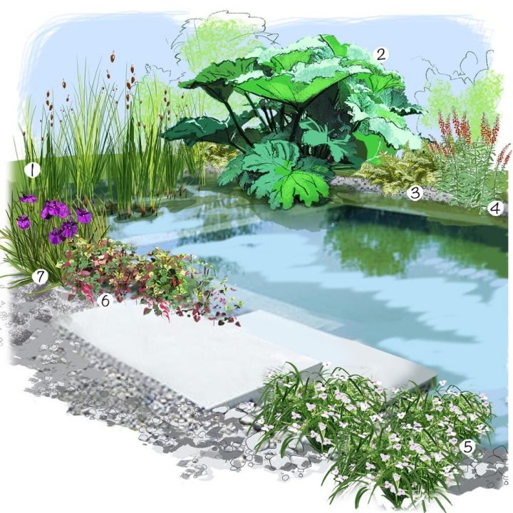 Jardin Au Bord De L'eau | Amenagement Jardin, Idée … destiné Exemple D Aménagement De Jardin