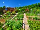 Jardin Bio : Optez Pour Des Engrais De Fond | La Maison Bio dedans La Potasse Au Jardin