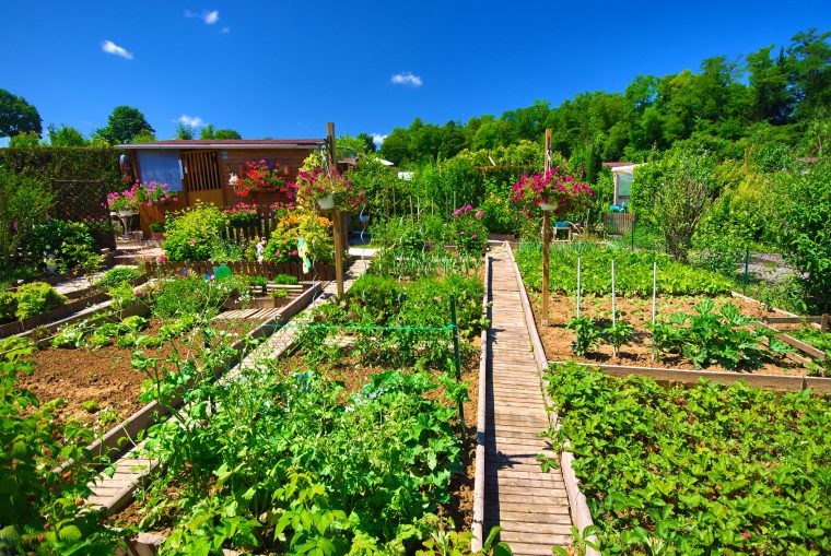Jardin Bio : Optez Pour Des Engrais De Fond | La Maison Bio dedans La Potasse Au Jardin