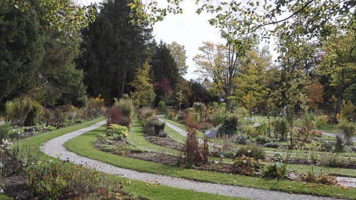 Jardin Botanique De L'université De Fribourg — Wikipédia intérieur Serre De Jardin Occasion