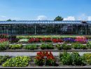 Jardin Botanique Roger-Van Den Hende De L'université Laval | pour Jardin Botanique Emploi
