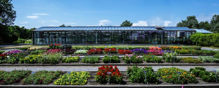 Jardin Botanique Roger-Van Den Hende De L'université Laval | pour Jardin Botanique Emploi