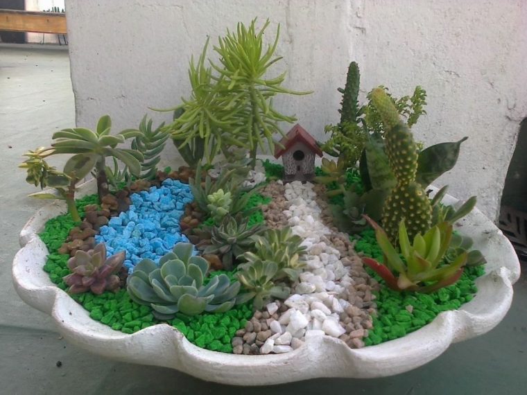 Jardin Cactus Miniature | Cactus Flower, Cactus, How To Grow … avec Jardin Cactus Miniature