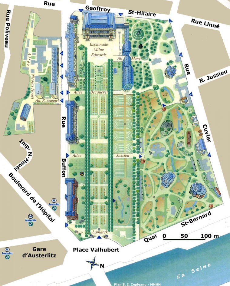 Jardin Des Plantes De Paris — Wikipédia destiné Modèle De Jardin Fleuri