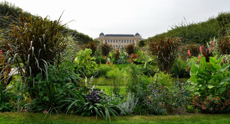 Jardin Des Plantes | Galeries, Jardins, Zoo – Jardin Des Plantes pour Créer Un Plan De Jardin Gratuit