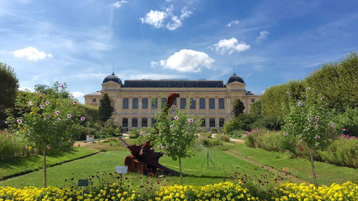 Jardin Des Plantes - Pariste avec Bache Verte Jardin