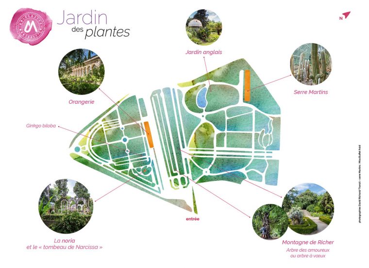 Jardin Des Plantes – Université De Montpellier serapportantà Jardin Botanique Emploi