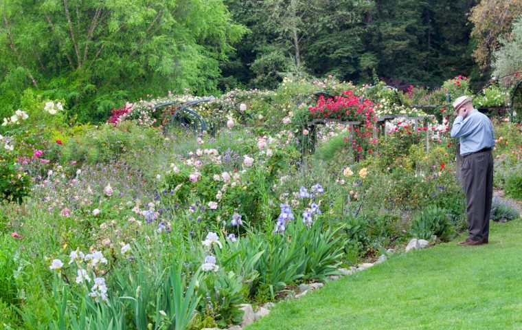 Jardin Du Monde #1 Focus Sur Le Jardin À L'anglaise | Blog … pour Comment Créer Un Jardin Anglais
