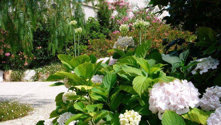 Jardin Fleuri. Jardin Provençal. Sud De La France … pour Jardins Fleuris Paysagiste