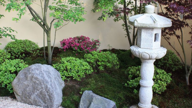 Jardin Japonais : Les Plantes Et Arbres Pour Un Jardin Zen … tout Plante Pour Jardin Japonais