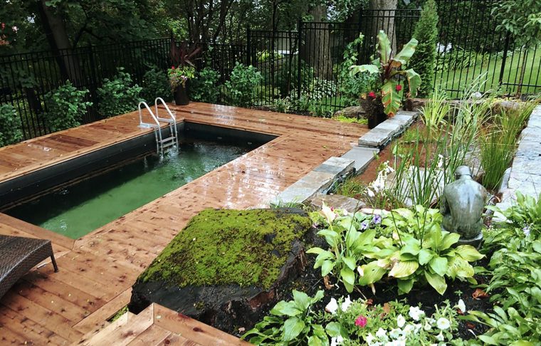 Jardin: La Piscine Naturelle Et L'étang De Baignade | Le Devoir encequiconcerne Prix D Un Bassin De Jardin