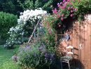 Jardin Le Petit Grillon | Jardins Et Grillon dedans Asperseur Jardin