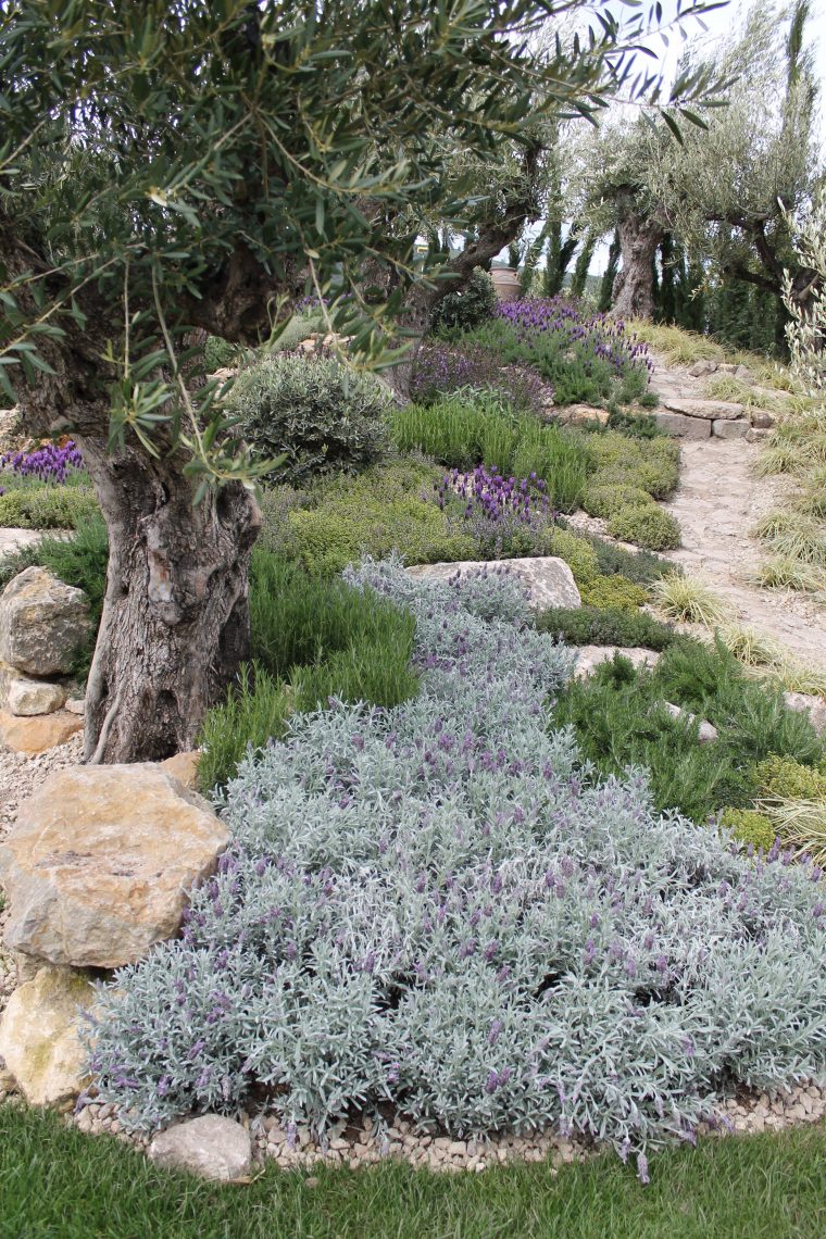 Jardin Méditerranéen Mêle Des Plantes À Feuillages Gris … destiné Amenagement Jardin Exterieur Mediterraneen