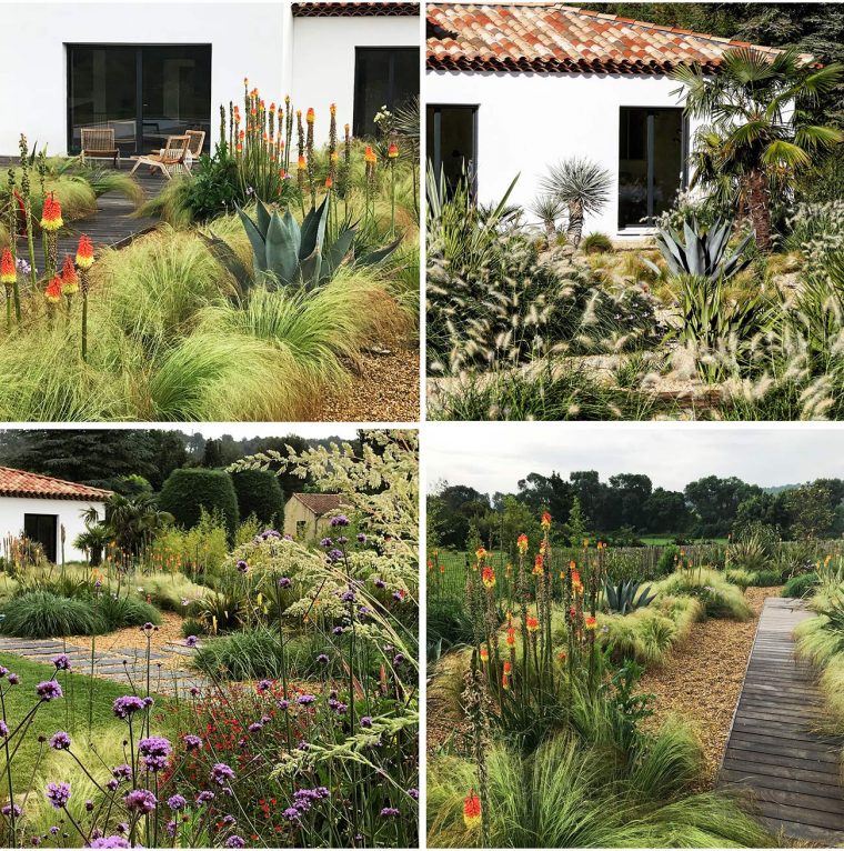 Jardin Méditerranéen – Paysagiste Montpellier & Aix-En-Provence destiné Exemple De Jardin Méditerranéen