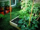 Jardin Potager Bio (Petite Surface) pour Faire Un Petit Potager Dans Son Jardin