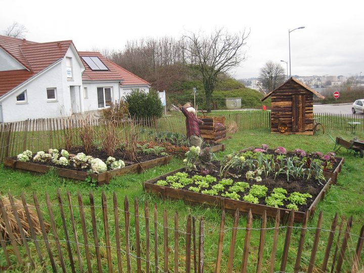 Jardin Potager — Wikipédia avec Exemple D Aménagement De Jardin