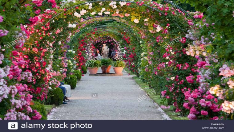 Jardin Rose Arch – pour Arches De Jardin