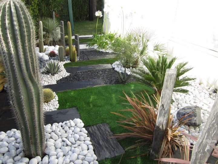 Jardin Sec: Cactus, Galets Polis Blancs, Gazon Synthétique … dedans Jardin Avec Galets Blancs