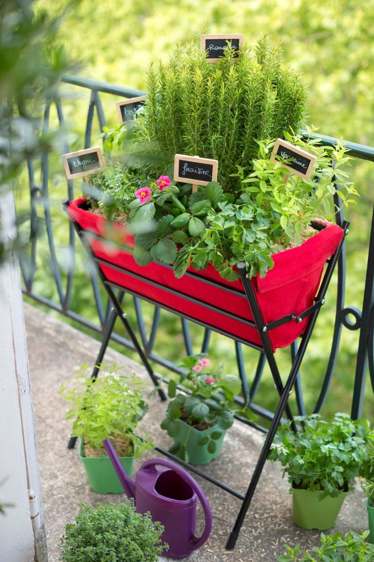 Jardin Urbain Contemporain : Ustensile Jardinage, Mini … serapportantà Mini Jardin Balcon