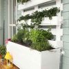 Jardin Vertical Au Balcon – Aménager Sa Petite Oasis De Verdure destiné Salon De Jardin Pour Balcon