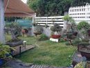Jardin Zen 974 serapportantà Petit Jardin Japonisant
