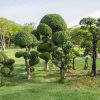 Jardin Zen : Conseils Déco, Astuces, Idées Pratiques - Super ... intérieur Déco De Jardin Zen