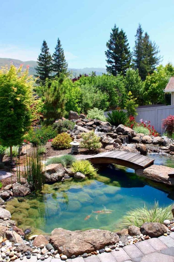 Jardin Zen Décoré Avec Un Pont En Bois | Bassin De Jardin … concernant Bassin De Jardin Préformé