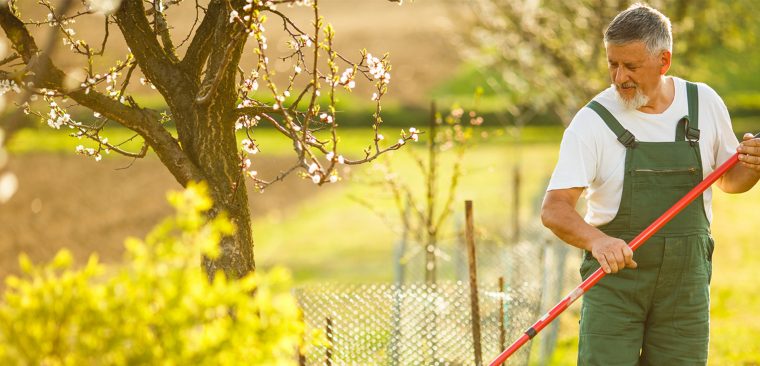 Jardinage Pour Les Nuls: Aménagement De Jardin avec Jardiner Pour Les Nuls