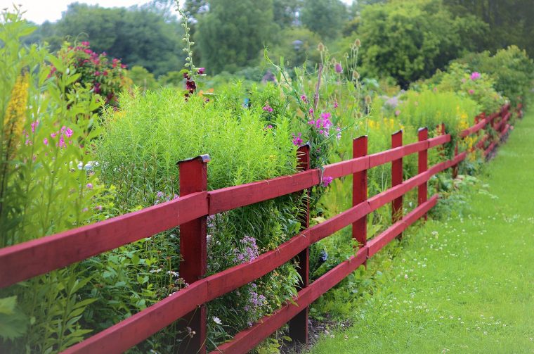 Jardiner En Bon Voisinage : Les Règles À Respecter … intérieur Cloturer Un Jardin