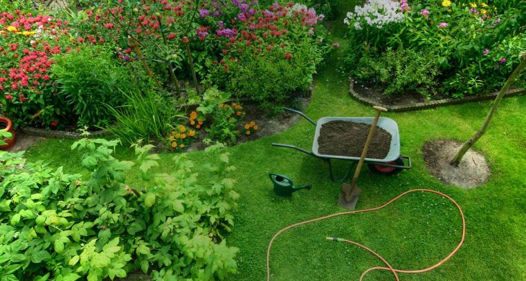 Jardineries Truffaut : Spécialiste Jardin, Animaux, Maison … à Arbustes Decoration Jardin
