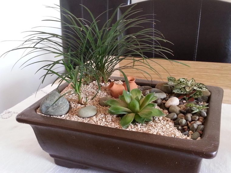 Jardines Pequeños Formatos | Pellizcados | Jardines … destiné Jardin Cactus Miniature