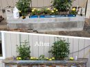 Jardiniere Bloc Beton Recouverte Brique De Parement Jardin ... concernant Petit Muret En Pierre Pour Jardin