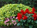 Jardinière : Quatre Saisons De Plantes | Dossier destiné Jardinieres Beton Pour Jardin