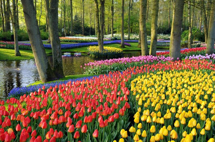 Jardins De Babylone On Twitter: "the Most #beautiful Spring … dedans Jardin De Keukenhof