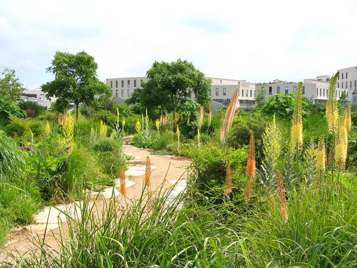 Jardins, Paysage Et Génie Naturel – Jardins, Paysage Et … avec Idée De Génie Jardin