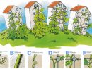 Jardins Verticaux Dans Appartements Et Maisons Pour 33+ ... concernant Organisation D Un Jardin Potager